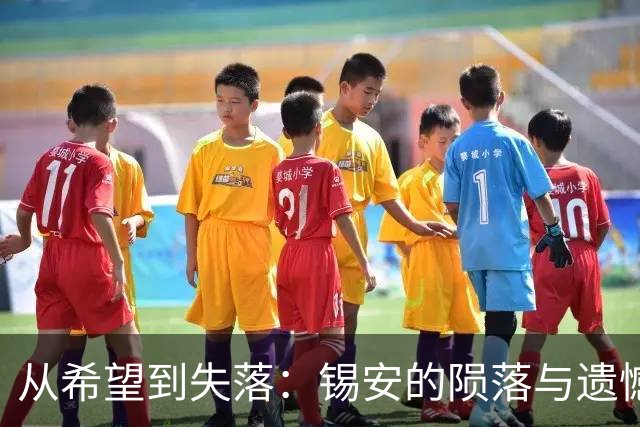 从希望到失落：锡安的陨落与遗憾