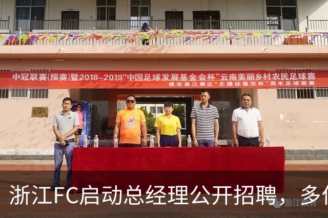 浙江FC启动总经理公开招聘，多位足球名宿争相应聘